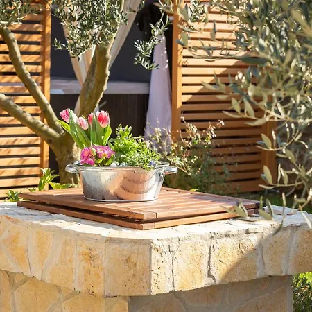 Np Krka Country house *